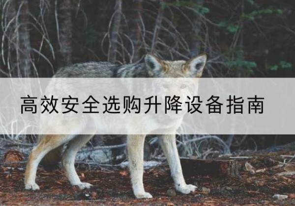 纳雍升降货梯厂家推荐-*安全选购升降设备指南