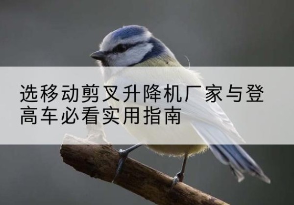 纳雍电动升降机厂家-选移动剪叉升降机厂家与登高车必看实用指南