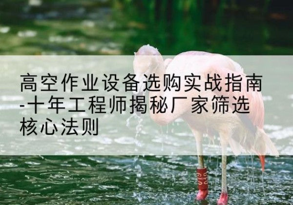 纳雍剪叉式升降机厂家-高空作业设备选购实战指南-十年工程师揭秘厂家筛选核心法则